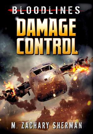 Cover of the book Damage Control by Benjamin Bird