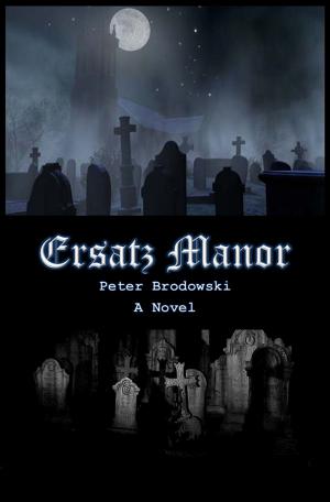 Cover of the book Ersatz Manor by Troy Buckner