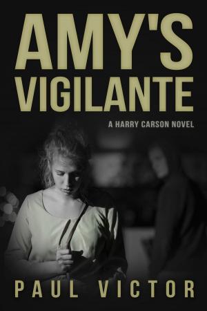 Cover of the book Amy's Vigilante by Sara Dumaine Brouillet