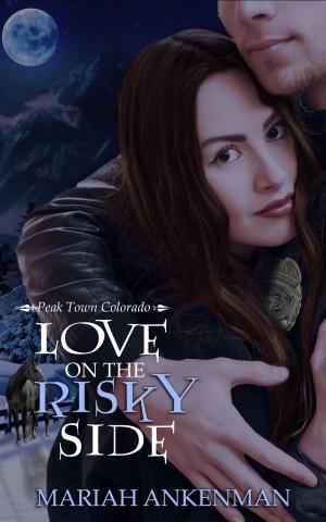 Cover of the book Love on the Risky Side by Linda  LaRoque
