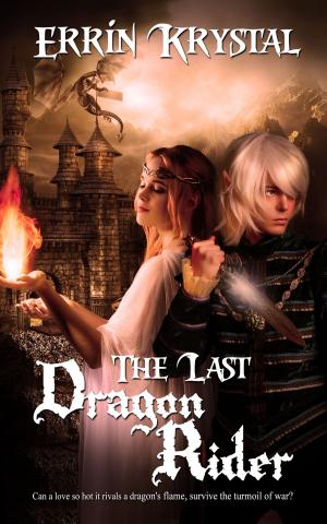 Cover of the book The Last Dragon Rider by Gail  Symmonds