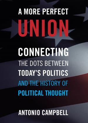 Cover of the book A More Perfect Union by Allison K. Spivak, Amanda J. Roberts