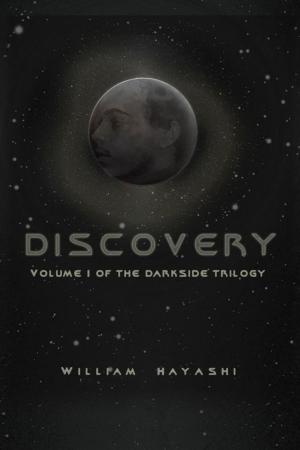 Cover of the book Discovery by Leslie Herzberger