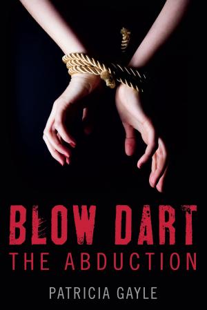 Book cover of Blow Dart