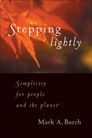 Cover of the book Stepping Lightly by Richard Heinberg