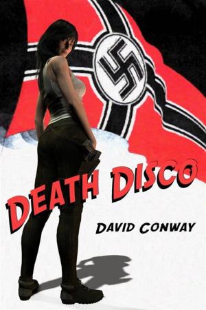 Book cover of Death Disco