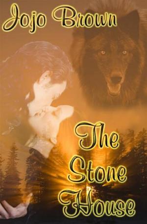 Cover of the book The Stone House by Wren Rogers