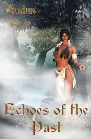 Cover of the book Echoes Of The Past by Barbara Johannsen