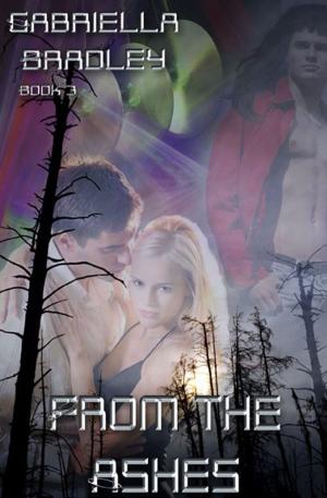 Cover of the book From The Ashes by D. B. Shayne