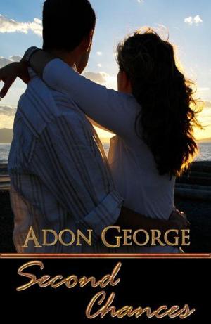 Cover of the book Second Chances by Viola Grace