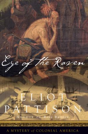 Cover of the book Eye of the Raven by Kaya Oakes