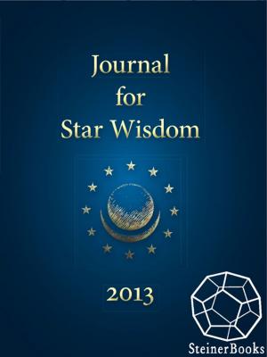 Book cover of Journal for Star Wisdom 2013