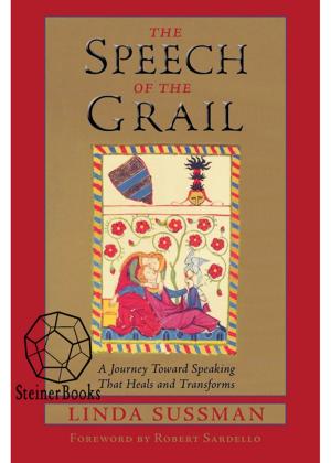 Cover of the book The Speech of the Grail by Adrian Hofstetter