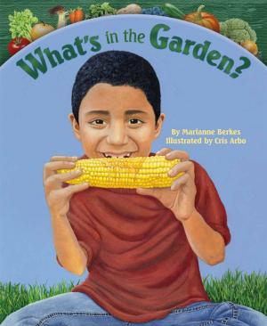bigCover of the book Whats in the Garden? by 
