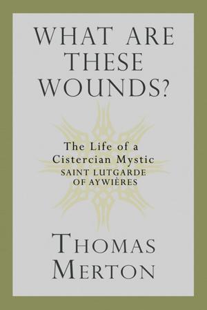 Cover of the book What Are These Wounds? by Donald J. Goergen, OP