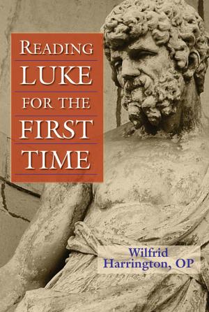 Cover of the book Reading Luke for the First Time by Elaine Murray Stone