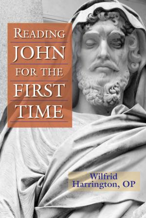 Cover of the book Reading John for the First Time by Wil Hernandez
