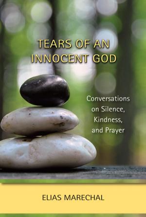 Cover of the book Tears of an Innocent God by 