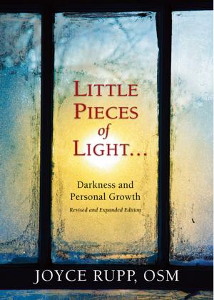 Book cover of Little Pieces of Light