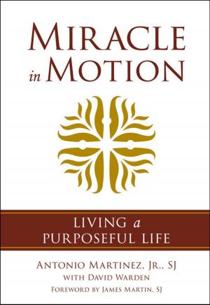 Cover of the book Miracle in Motion by Kerry Walters