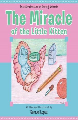 Book cover of The Miracle of the Little Kitten