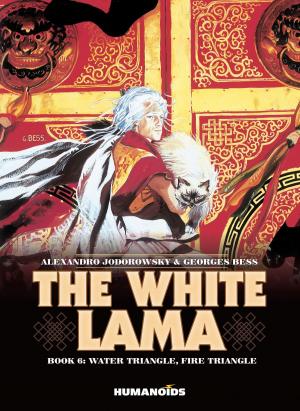 Book cover of The White Lama #6 : Water Triangle, Fire Triangle