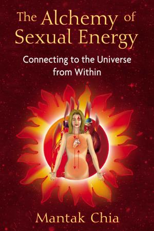 Book cover of The Alchemy of Sexual Energy