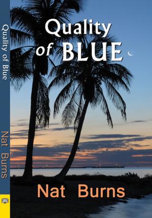 Cover of the book The Quality of Blue by Laina Villeneuve
