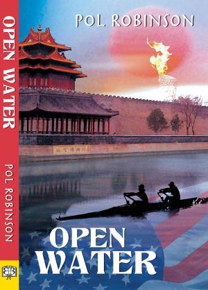 Cover of the book Open Water by Lise MacTague