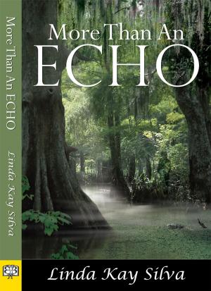 Cover of the book More Than an Echo by Eva Indigo