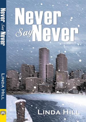 Cover of the book Never Say Never by E. J. Noyes
