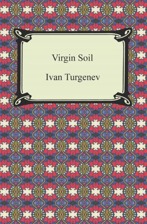 Cover of the book Virgin Soil by Miguel de Cervantes
