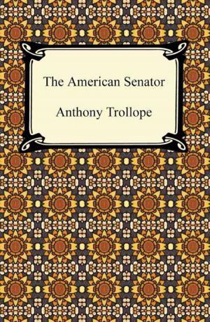 Cover of the book The American Senator by Miguel de Cervantes
