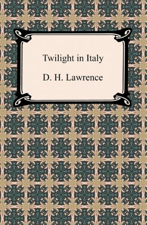 Cover of the book Twilight in Italy by Plato