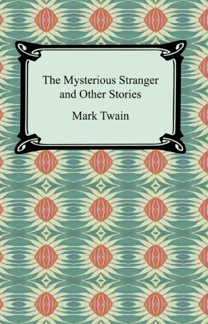 Cover of the book The Mysterious Stranger and Other Stories by Aphra Behn