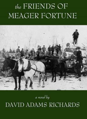 Cover of the book The Friends of Meager Fortune by Pete Morin