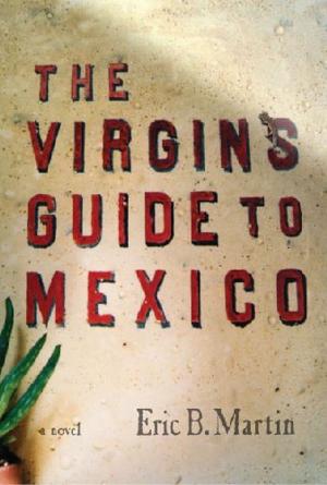 bigCover of the book The Virgins Guide to Mexico by 