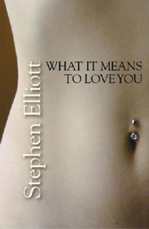 Cover of the book What it Means to Love You by Allan Guthrie
