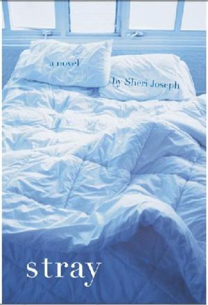 Cover of the book Stray by Albert Gamundi Sr