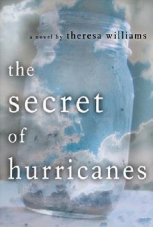 Book cover of The Secret of Hurricanes