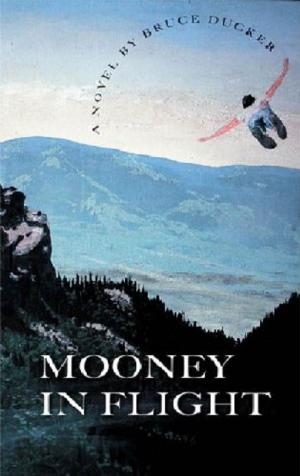 Cover of the book Mooney In Flight by Dennis Vickers