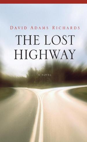 Book cover of The Lost Highway