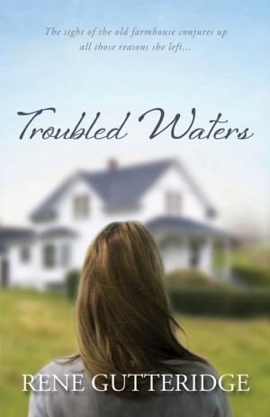 Book cover of Troubled Waters