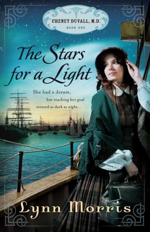 Cover of the book The Stars for a Light by Martha Finley