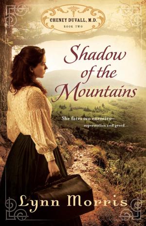 Book cover of Shadow of the Mountains