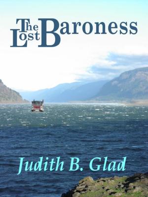 Book cover of The Lost Baroness