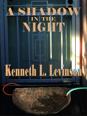 Book cover of A Shadow in the Night