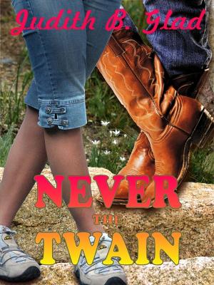 Cover of the book Never the Twain by Lisa James