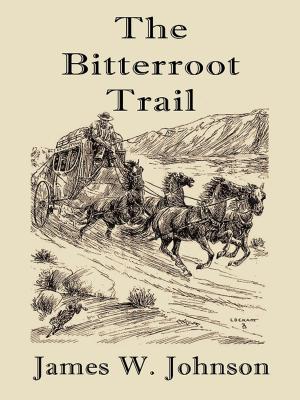 Cover of the book The Bitterroot Trail by JP Mac
