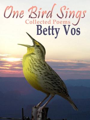 Cover of the book One Bird Sings by Lesley-Anne McLeod